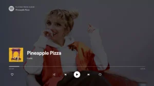 Spotify for Android v1.95.13 APK [TV Version] & Spotify MOD APK v9.0.78.1093 [Premium Unlocked] 3