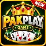 PAKPLAY Game APK Download: Best Beginner’s Guide 2026